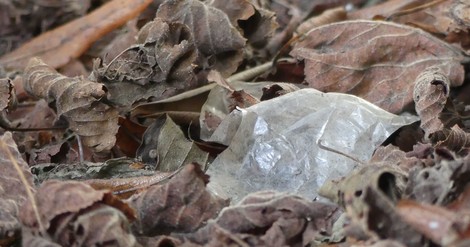 Wie Mikroplastik unsere Böden verändert