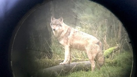 Fakten zu einem der heißesten Themen des Landes