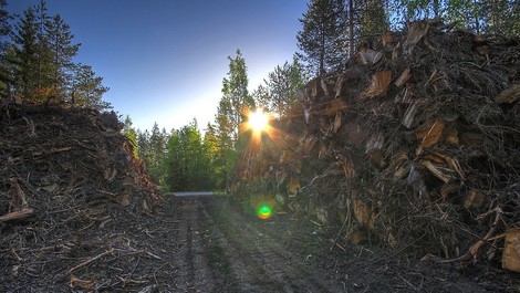 Finnische Regierung beschließt CO2-Neutralität bis 2035