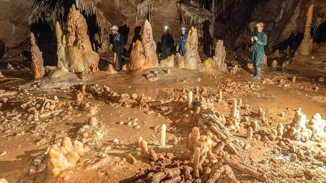 Der Neandertaler im neuen Licht