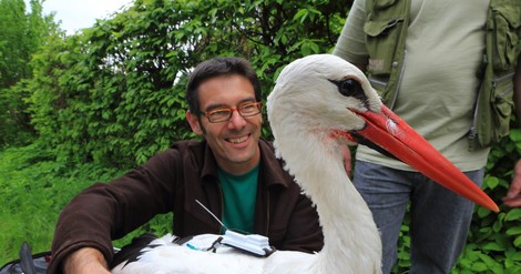 Icarus beobachtet Tiere aus dem Weltraum