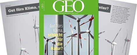 Windkraft und Vögel: Wenn Klima- und Naturschutz im Widerspruch zueinander sind