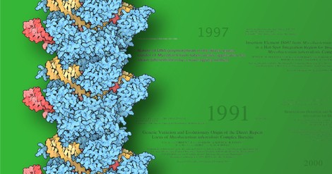 CRISPR, Tuberkulose und die Suche des Jan van Embden