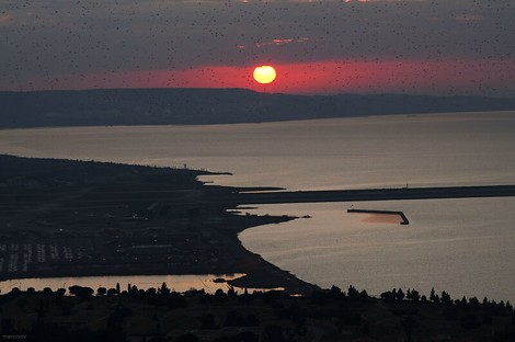 So geht es auch: Erweiterungsbauten des Marseiller Flughafens wegen Klimaschutz gestoppt