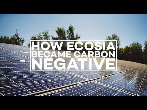 CO2-negative Suchanfragen: mit Ecosia statt Google