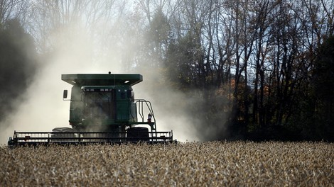 Donald Trumps Politik schadet den Farmern in den USA – aber diese wählen ihn womöglich erneut
