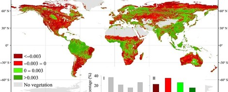 Vegetation geht weltweit leicht zurück 