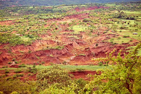 Guter Überblicksartikel über Desertifikation und Klimawandel