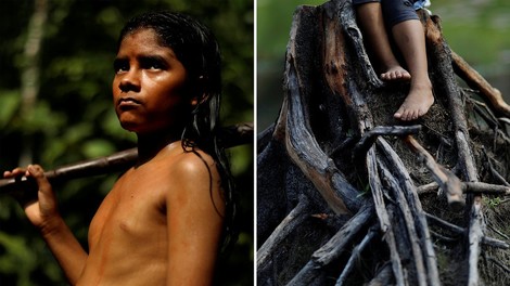 Waldbrände in Brasilien – was kann der Westen tun? 