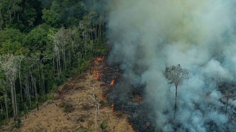 Nicht nur das Ende für Brasilien. Was ein brennender Amazonas für die Welt bedeutet.