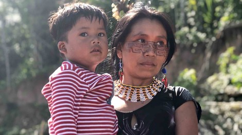 Regenwald, Mensch, Feuer: Was können wir von den indigenen Völkern Amazoniens lernen?
