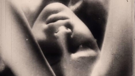 Der Prozess der Lady Chatterley - Orgasmus und Klassenkampf in einem englischen Garten
