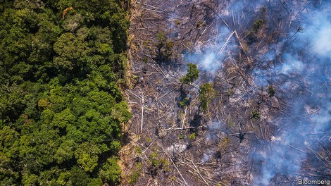 Warum und wann der Amazonas-Regenwald instabil werden kann