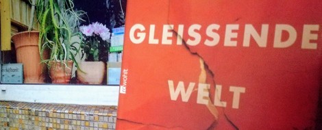 Mein kleiner Buchladen – fiktive Künstlerbiografien: Die gleissende Welt