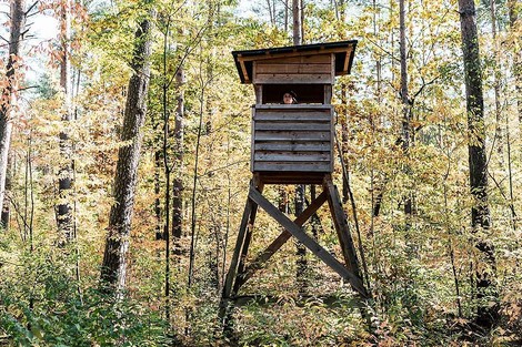 Die Försterin: Einblick in eine Männerdomäne