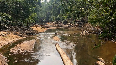 S.O.S. Amazonas - Apokalypse im Regenwald