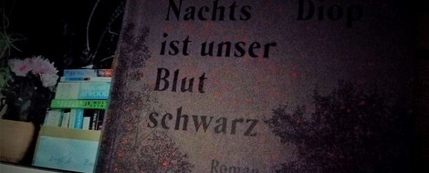 Mein kleiner Buchladen – frische Bücher: Nachts ist unser Blut schwarz