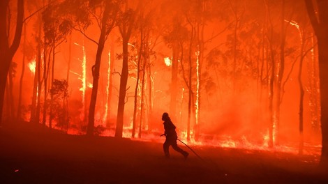 Australien: Nie da gewesene Waldbrände