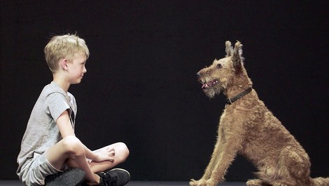 Hund und Mensch - das Geheimnis einer Freundschaft