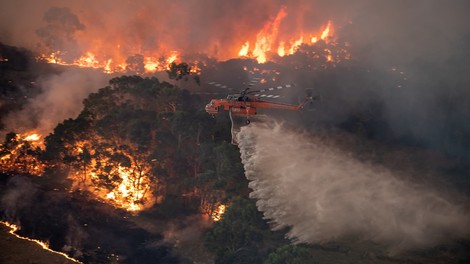 Waldbrände in Australien: Wieso Kultur und Kapitalismus zusammengehören 