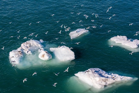 "Atlantifizierung" des Polarmeeres - ein weiteres positives Feedback des Klimawandels?