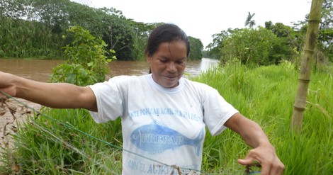 Amazonas-Fischer als Bürgerwissenschaftler