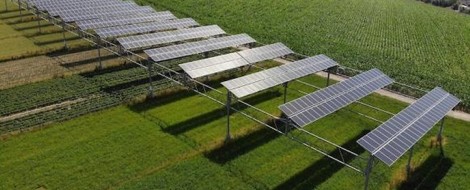 Wohin mit all den neuen Solarpanels? Agrophotovoltaik!