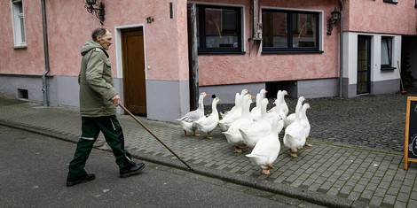 
Leben im Alter: Kühe statt Bingo 