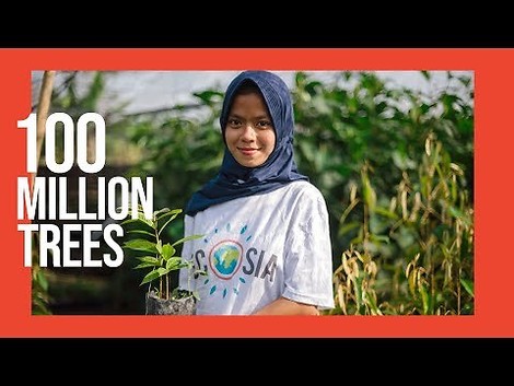 Ecosians did it: 100 Millionen Bäume sind gepflanzt.