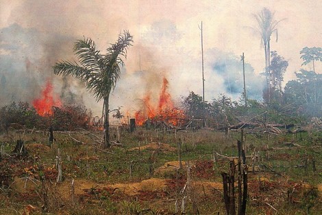 Was die deutsche EU-Ratspräsidentschaft mit den Bränden im Amazonas zu tun hat