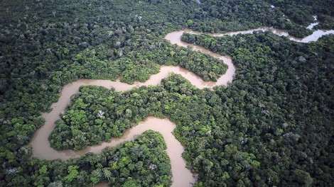 Ideen für eine bessere Zukunft des Amazonas-Regenwalds