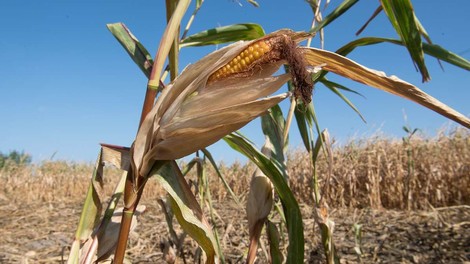 US-Wetterbehörde: 2020 auf neuem Rekordpfad