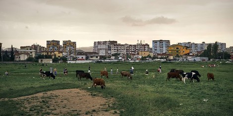 Warum Blutrache in Albanien weiterhin ein Problem ist 