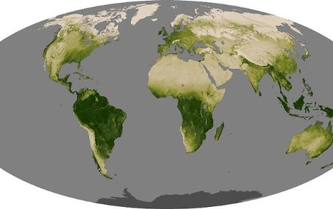 Ergrünt die Erde durch CO2-Düngung - oder doch nicht?