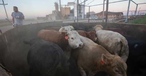 Klimakrise: Die wichtige Rolle von Landwirtschaft und Ernährung 