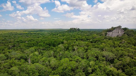 Der Märchenwald von Yucatan. Wo sind sie - die gespendeten Bäume?
