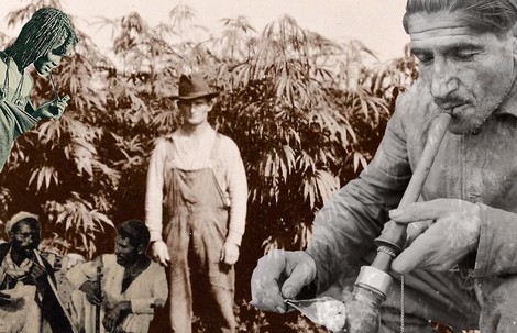 Das Verbot von Marihuana ist über 2000 Jahre alt