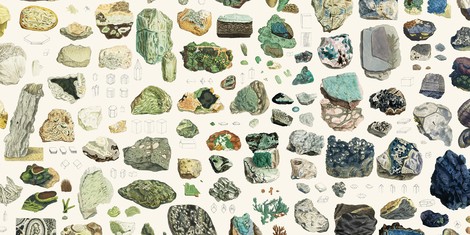 Steine für die Ewigkeit – James Sowerbys Illustrationen