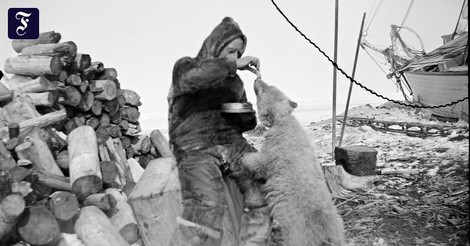 Was wir vom Polarforscher Roald Amundsen lernen können