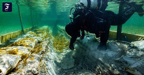 4.500 Jahre altes Ur-Boot im Bodensee entdeckt