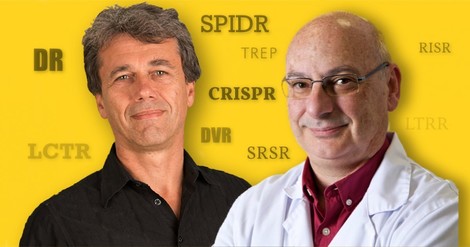 Wie die Genschere CRISPR zu ihrem Namen kam