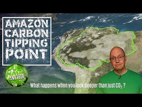 CO2 ist nicht Alles: Amazonasbecken wirkt klimaerwärmend 