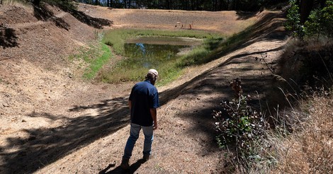 Wie der Klimawandel den Weinbau im Napa Valley bedroht