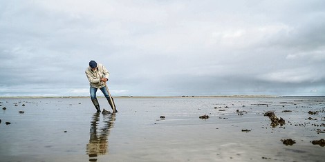 Über das größte Feuchtgebiet des Planeten – das Wattenmeer