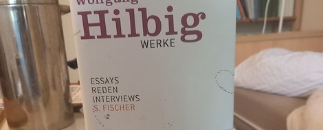 „Ich glaube, ich habe kein Heimatgefühl.“ Hilbigs Essays
