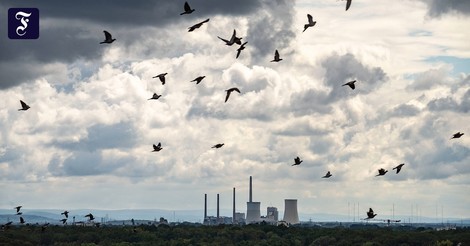 Weltweites Ende der Kohleverstromung „in Sichtweite“