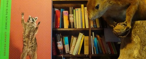 Bücherbox – Debüts: Ziemlich tote Dinge
