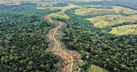 Diese Woche wirklich wichtig: der UN-Biodiversitätsgipfel