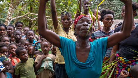 Wie sich Menschen im Kongo gegen illegale Abholzung wehren