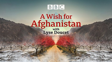 Lebenswerk einer Reporterin: Interviewserie A Wish For Afghanistan
